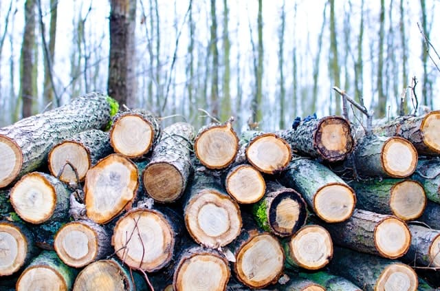 types of wood fuel