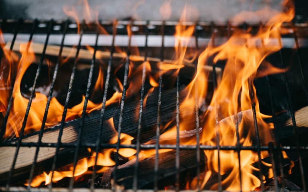 Grilling With Wood Instead of Charcoal: What Is the Difference?